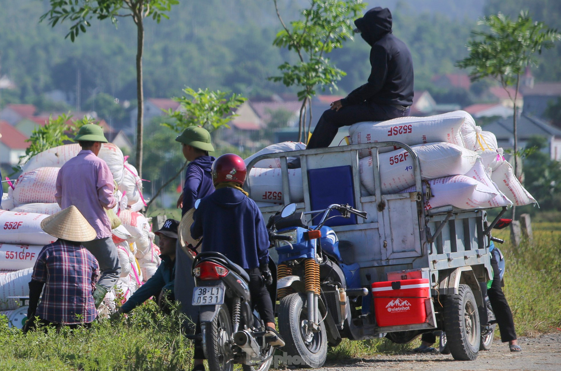 'Trúng' vụ lúa kỷ lục, nông dân làm ngày không đủ tranh thủ làm đêm ảnh 11