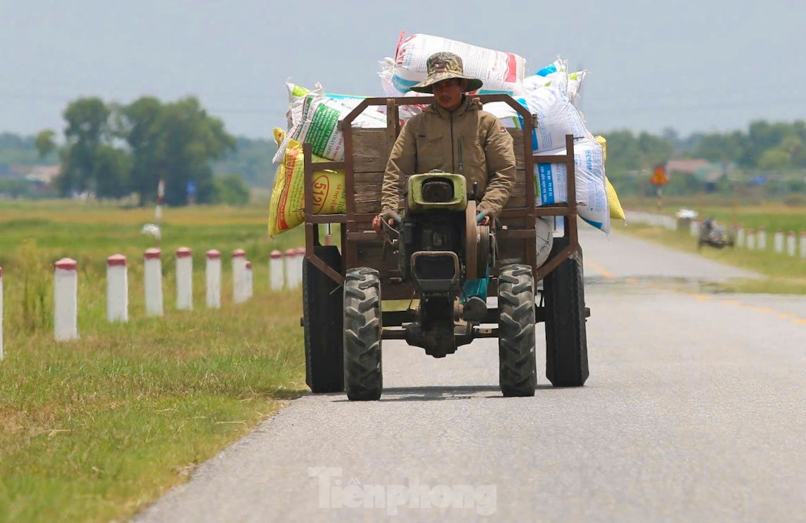'Trúng' vụ lúa kỷ lục, nông dân làm ngày không đủ tranh thủ làm đêm ảnh 13