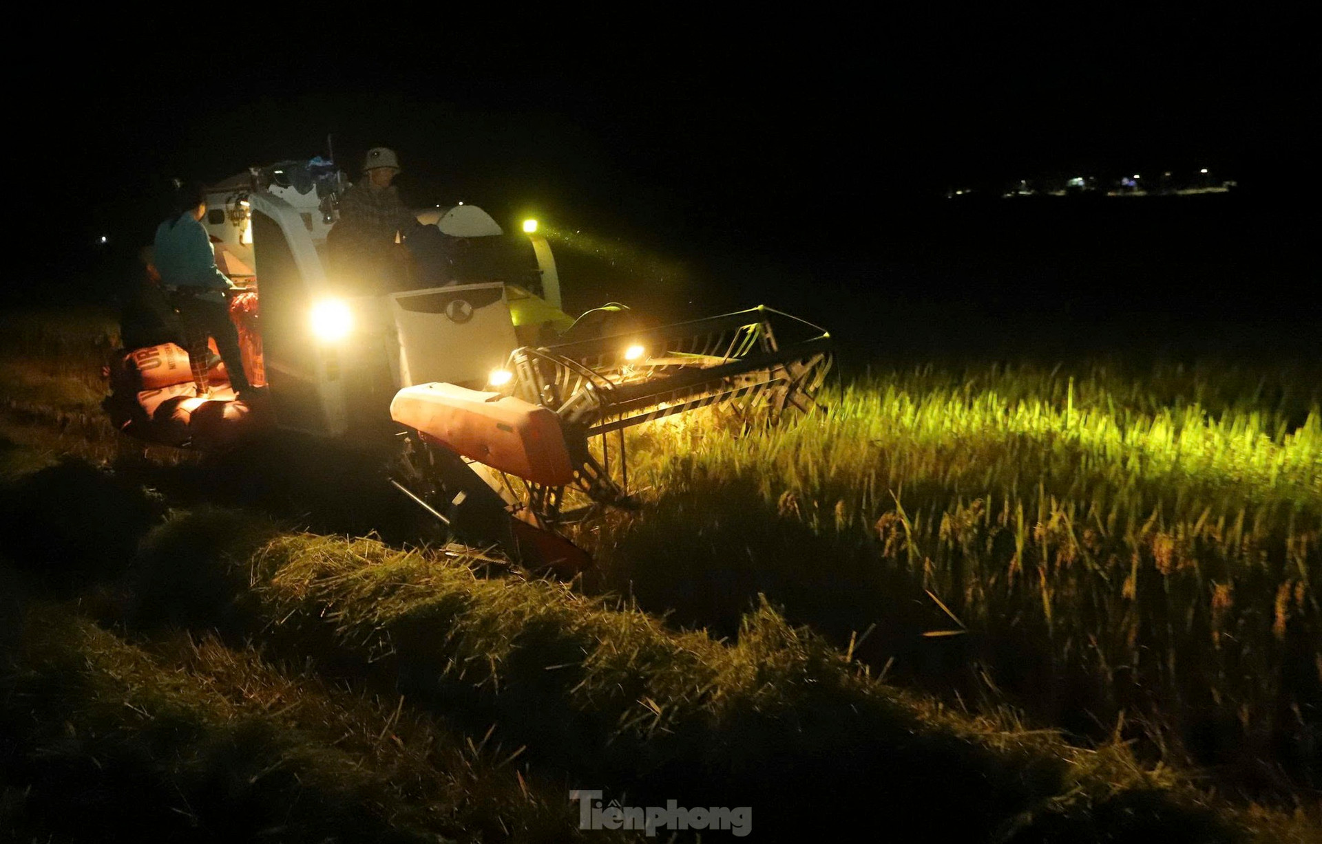 'Trúng' vụ lúa kỷ lục, nông dân làm ngày không đủ tranh thủ làm đêm ảnh 14