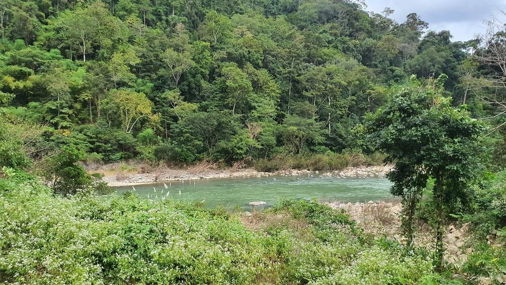 Tỉnh sắp ‘về một nhà’ với tỉnh sở hữu đường bờ biển dài nhất Việt Nam lên kế hoạch sáp nhập vườn quốc gia hiếm có ở Đông Nam Á- Ảnh 3. Tỉnh sắp ‘về một nhà’ với tỉnh sở hữu đường bờ biển dài nhất Việt Nam lên kế hoạch sáp nhập vườn quốc gia hiếm có ở Đông Nam Á- Ảnh 3.