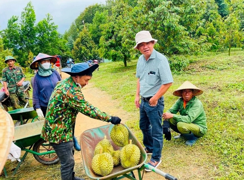 Sở hữu 2.000ha loại cây siêu lợi nhuận, Hoàng Anh Gia Lai (HAGL) của bầu Đức đón tin vui từ Thủ tướng