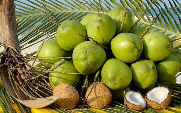 Trái cây toàn năng của Việt Nam tăng giá kỷ lục, Mỹ và Trung Quốc đổ xô thu mua