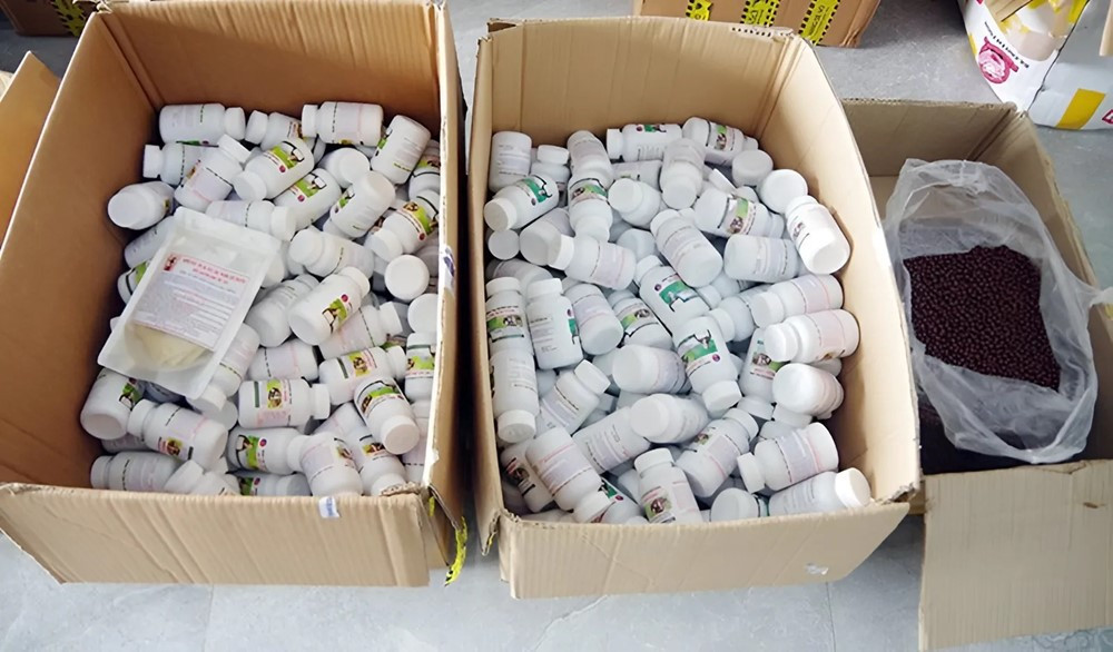 Khám xét nhà riêng, bắt Hồ Thị Hoa - ảnh 2