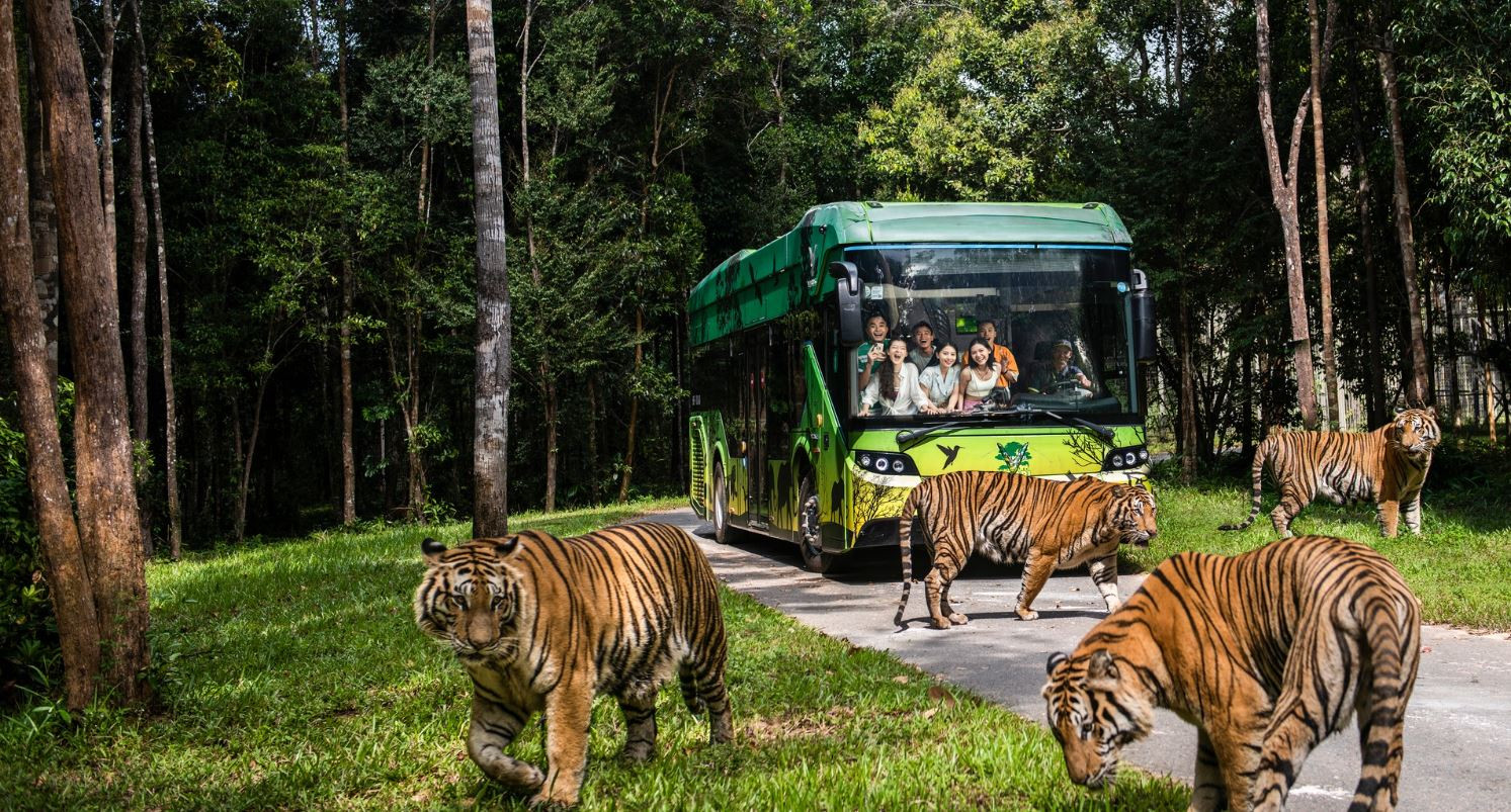 Công viên bán hoang dã đầu tiên và lớn nhất Việt Nam tọa lạc giữa lòng thành phố đảo đầu tiên của đất nước- Ảnh 3. Công viên bán hoang dã đầu tiên và lớn nhất Việt Nam tọa lạc giữa lòng thành phố đảo đầu tiên của đất nước- Ảnh 3.