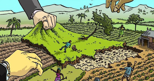 Năm 2025, mức phạt hành vi lấn chiếm đất chưa sử dụng tăng kỷ lục, lên đến tiền tỷ