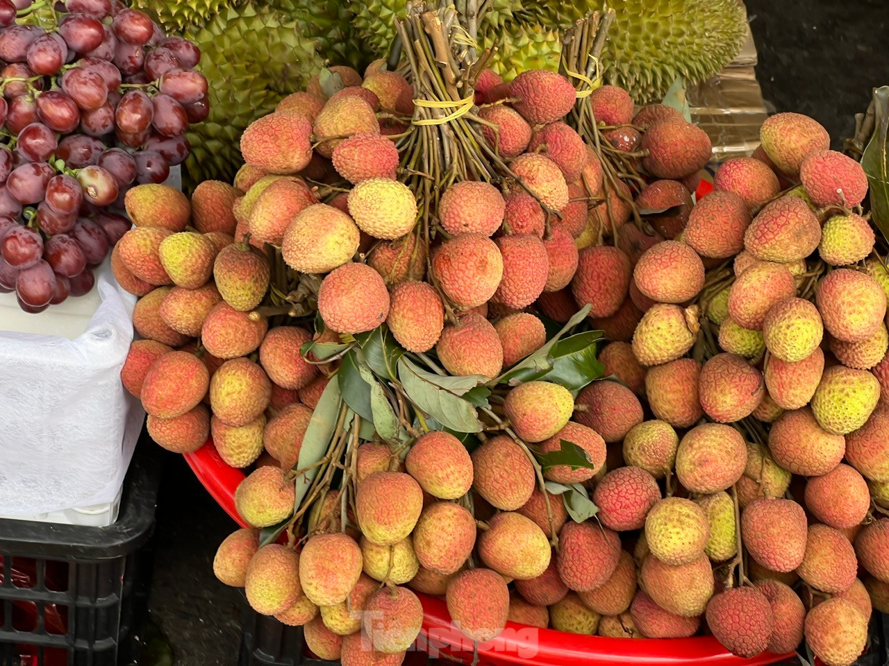 Vải thiều vào vụ, giá rẻ bất ngờ ảnh 9