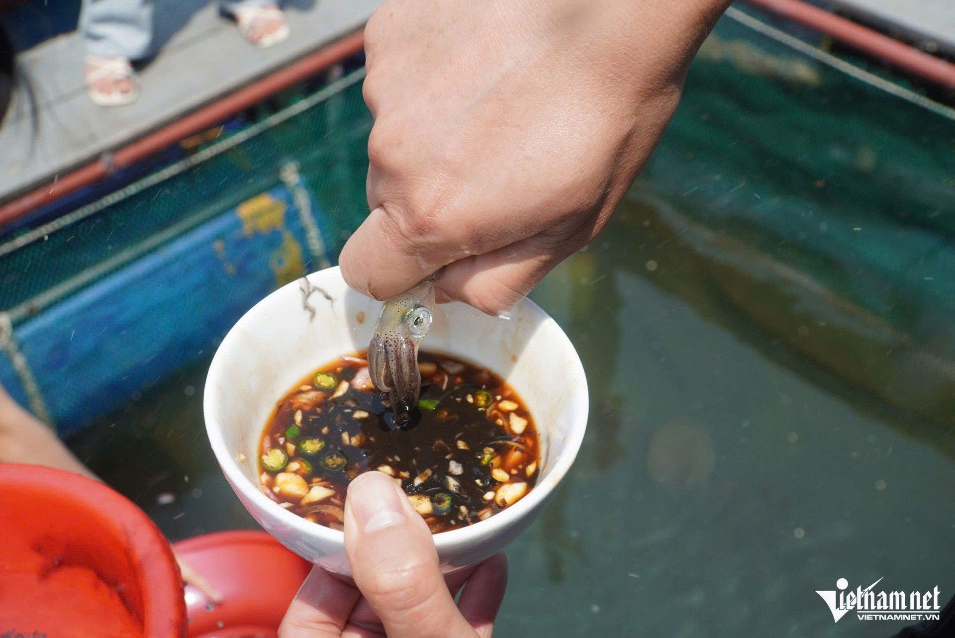 W-Mực vũng áng1.jpg