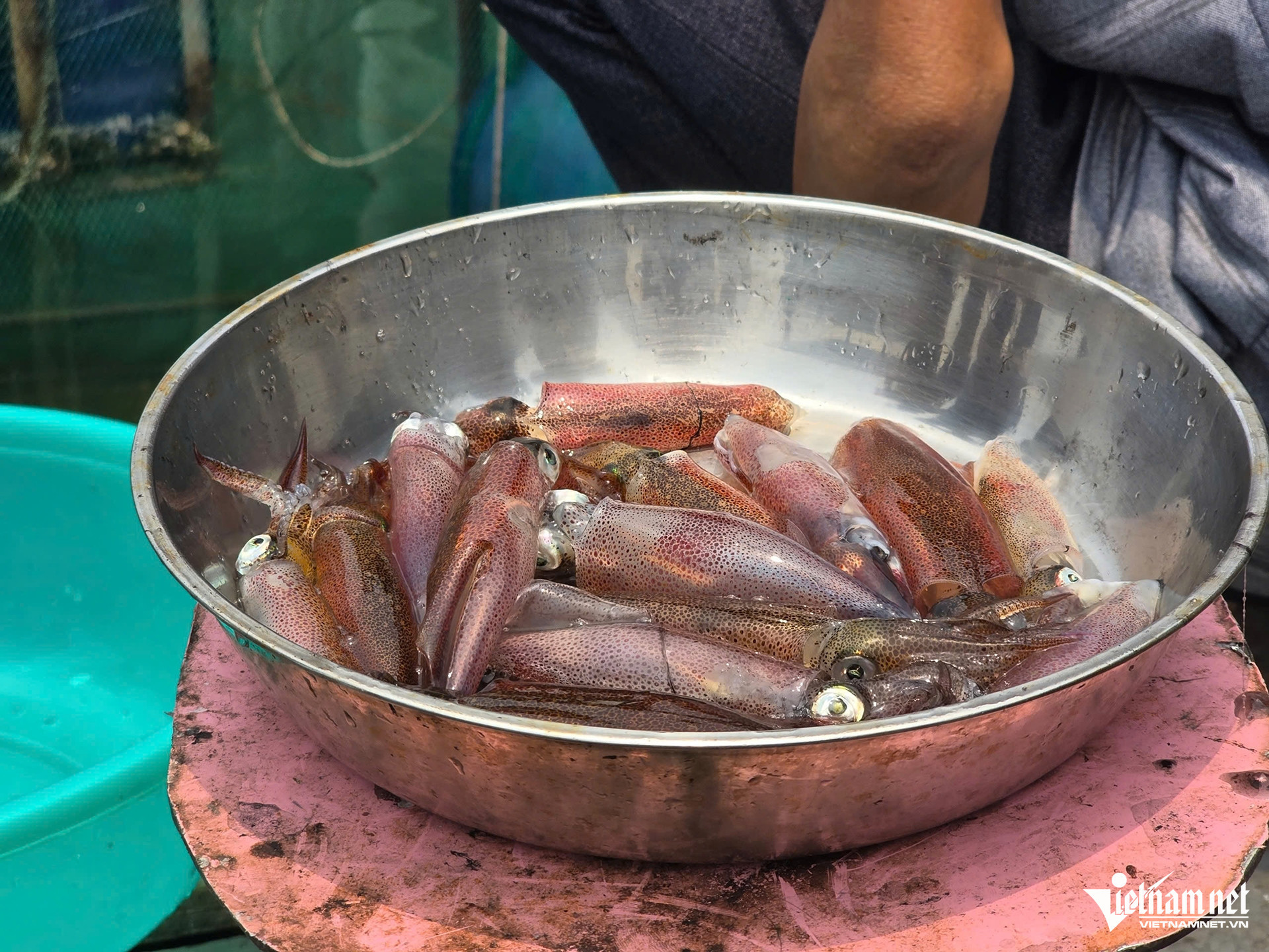 W-Mực vũng áng9.jpg