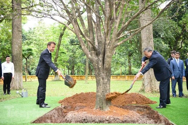 Tổng Bí thư Tô Lâm cùng Tổng thống Pháp Emmanuel Macron trồng cây hữu nghị ảnh 2