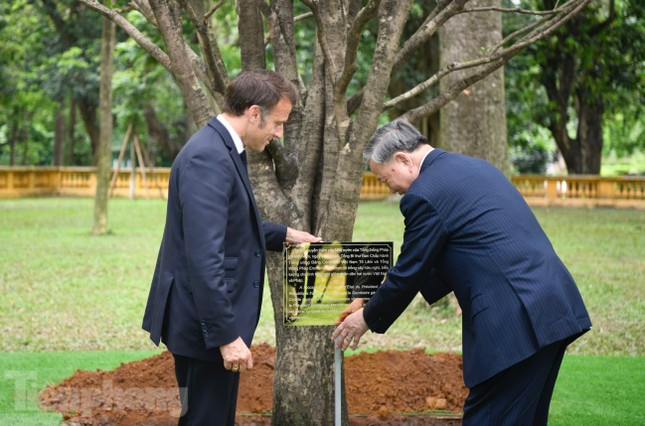 Tổng Bí thư Tô Lâm cùng Tổng thống Pháp Emmanuel Macron trồng cây hữu nghị ảnh 4