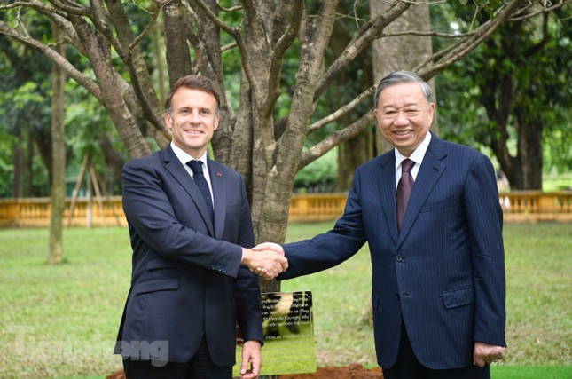 Tổng Bí thư Tô Lâm cùng Tổng thống Pháp Emmanuel Macron trồng cây hữu nghị ảnh 5