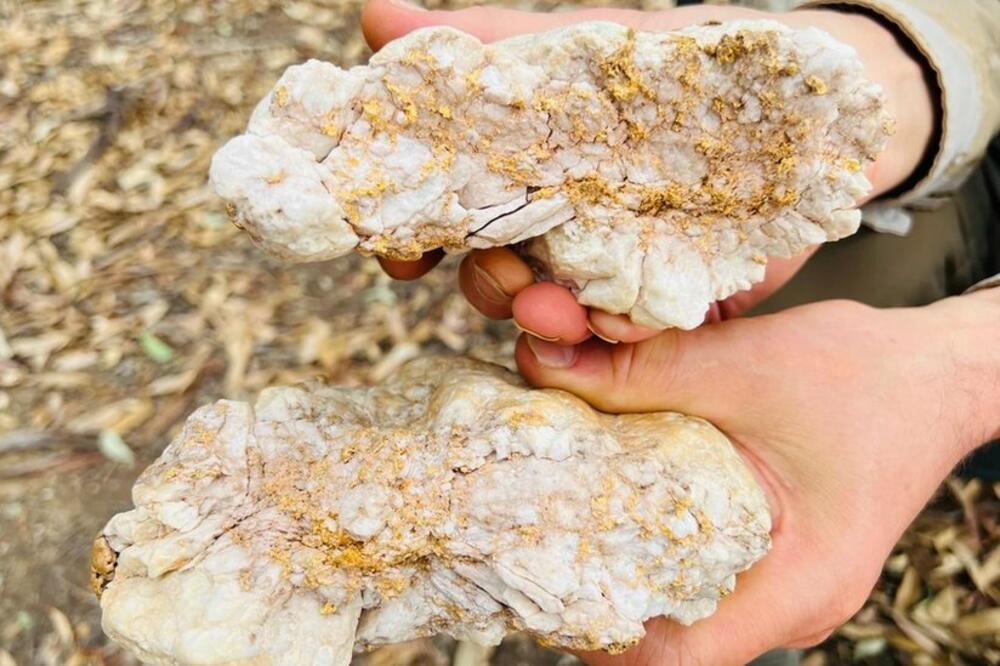Sử dụng máy dò kim loại, người đàn ông đào được tảng đá chứa 2,6kg vàng nguyên chất trị giá hơn 4 tỷ - ảnh 2