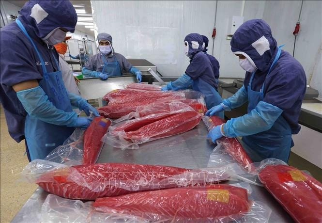Một mặt hàng thủy sản Việt Nam đang 'hái ra tiền' tại Nga