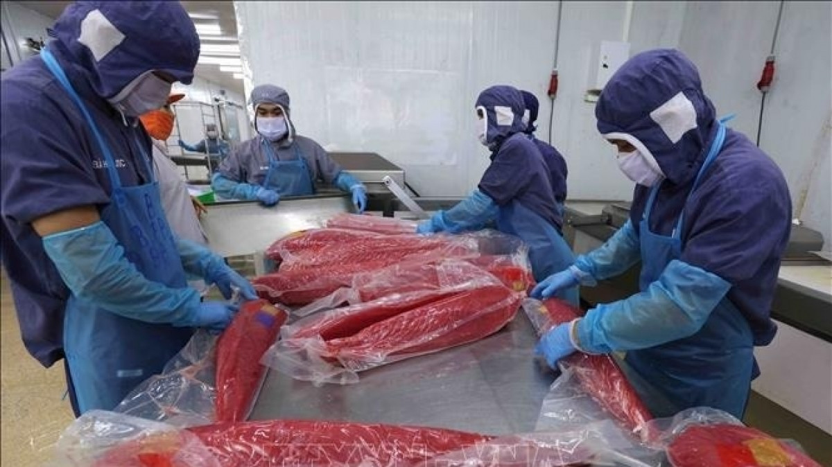 Một mặt hàng thủy sản Việt Nam đang 'hái ra tiền' tại Nga