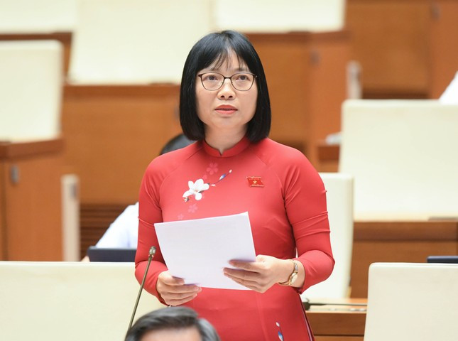 Viện dẫn vụ án Trương Mỹ Lan, đại biểu đề nghị không bỏ tử hình tội tham ô tài sản ảnh 3