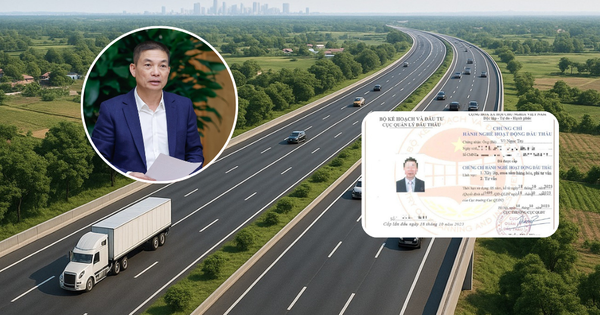 Chủ đầu tư phản hồi chính thức sau khi Sơn Hải tố chứng chỉ hành nghề chuyên gia bất thường