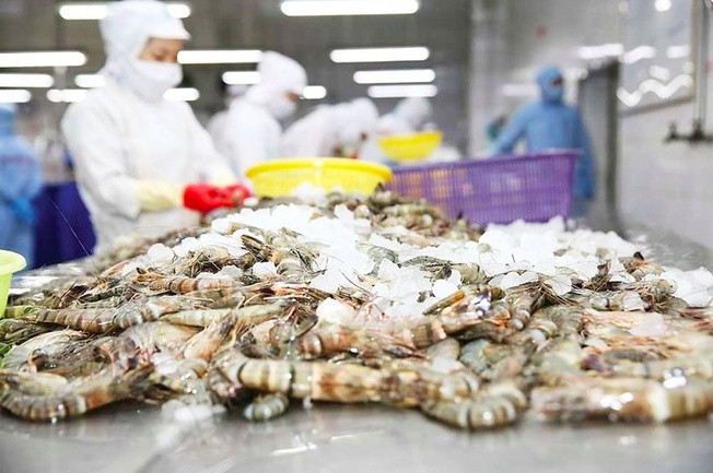 Không phải điện thoại, đây mới là thứ người Nga đang đổ 64 triệu USD mua từ Việt Nam