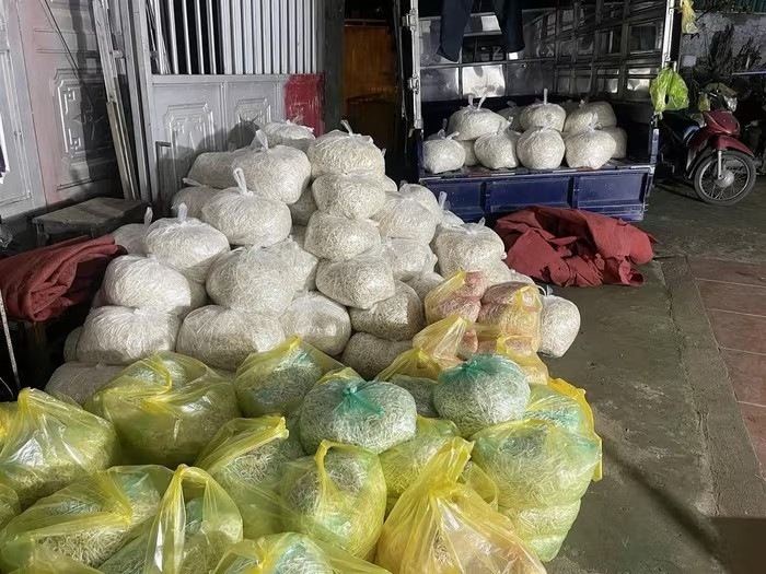 Vạch trần 2 cơ sở sản xuất gần 350 tấn giá đỗ 'ngậm độc' tại Lào Cai