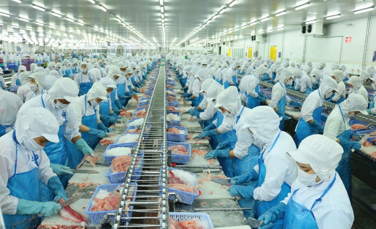 Doanh nghiệp xuất khẩu cá tra duy nhất không bị Mỹ áp thuế, đơn hàng dự báo dồn dập trong quý II