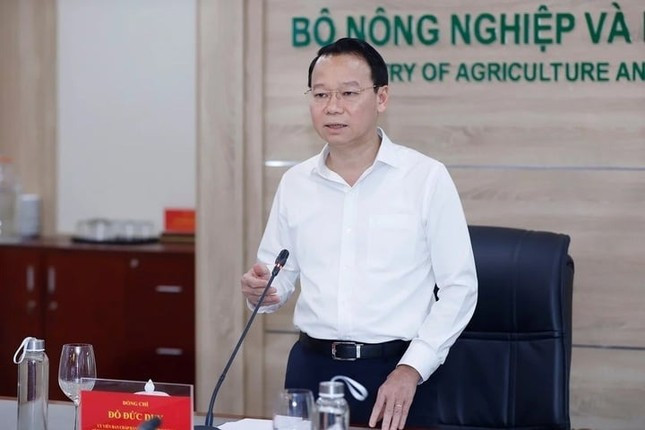 Ngụp lặn giữa khủng hoảng, sầu riêng Việt 'lội ngược dòng' thế nào? ảnh 2