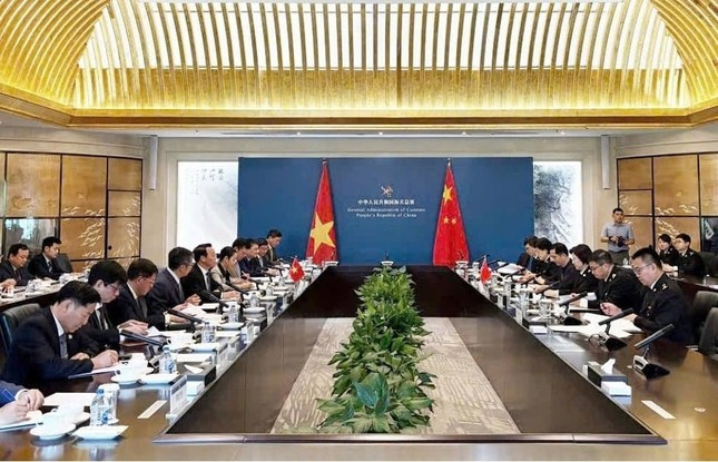 Trung Quốc sắp mở ‘luồng xanh’ cho nông sản Việt Nam ảnh 1