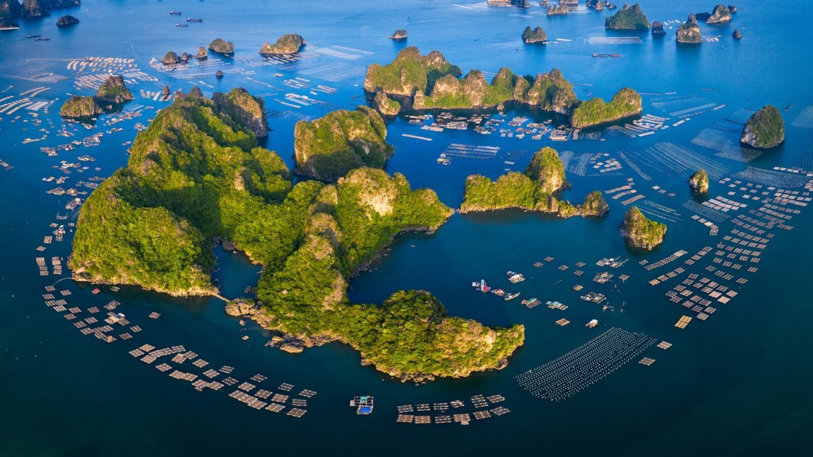 Việt Nam sắp có dự án casino 2 tỷ USD tọa lạc tại một trong những đặc khu của đất nước- Ảnh 2. Việt Nam sắp có dự án casino 2 tỷ USD tọa lạc tại một trong những đặc khu của đất nước- Ảnh 2.
