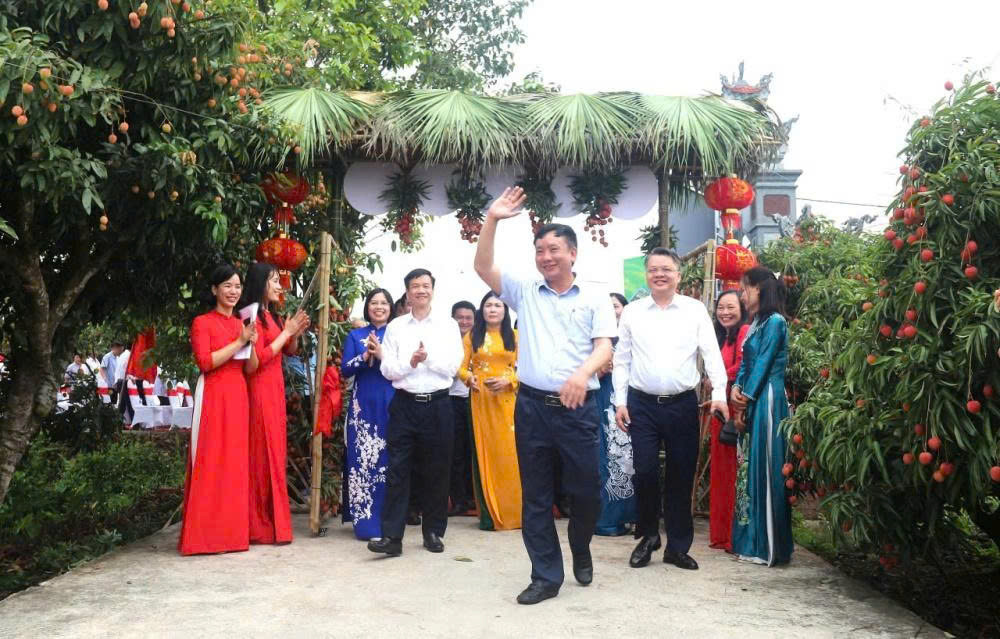 vải thanh 2.jpeg