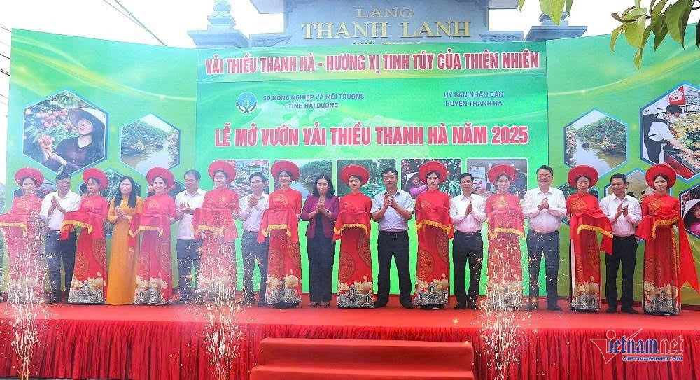 W-vải thanh hà 1.jpeg