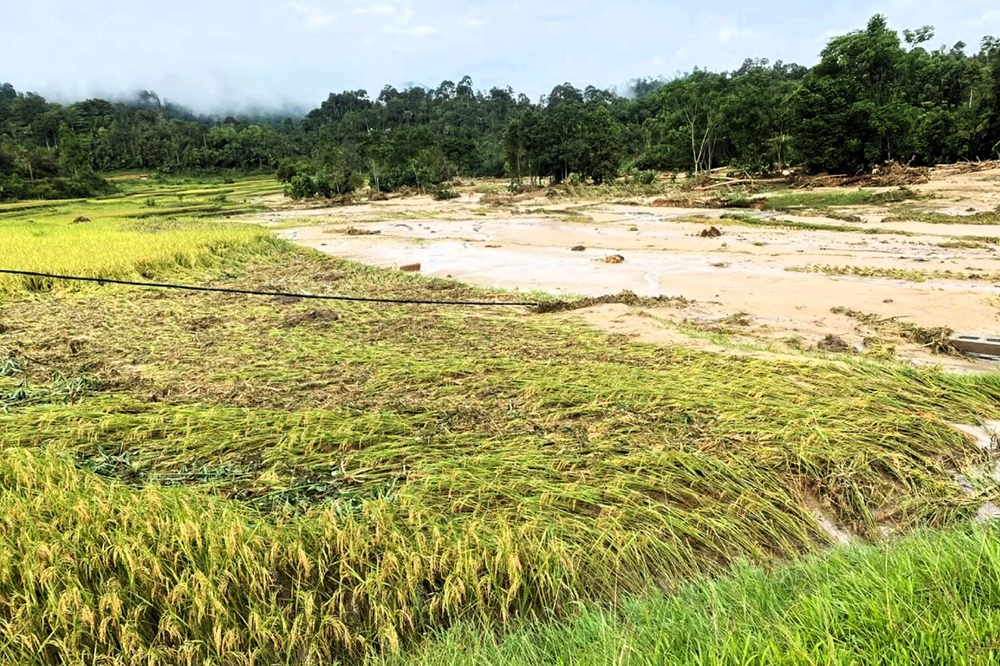 Bộ Công an ra công điện, yêu cầu Thủ trưởng các đơn vị trực thuộc Bộ, Giám đốc Công an các tỉnh, thành phố khẩn trương thực hiện nhiệm vụ quan trọng - ảnh 3