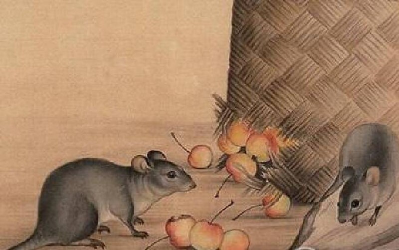 Đúng Tết Đoan Ngọ, 3 con giáp này chú ý! - ảnh 3