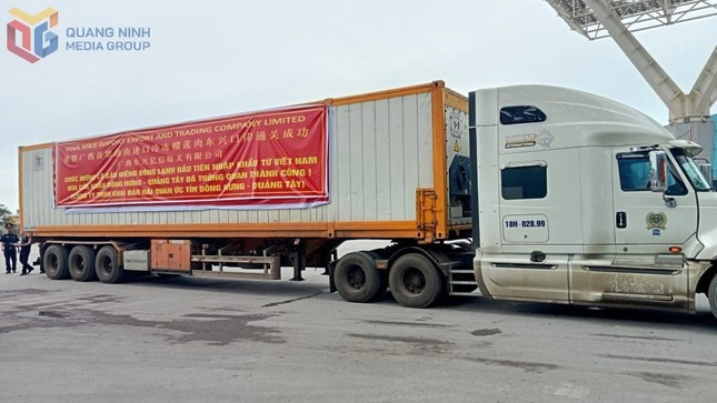 Sau 2 ngày thương thảo, sầu riêng đông lạnh Việt Nam thẳng tiến Trung Quốc ảnh 1