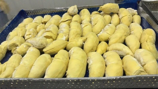 Sau 2 ngày thương thảo, sầu riêng đông lạnh Việt Nam thẳng tiến Trung Quốc ảnh 2