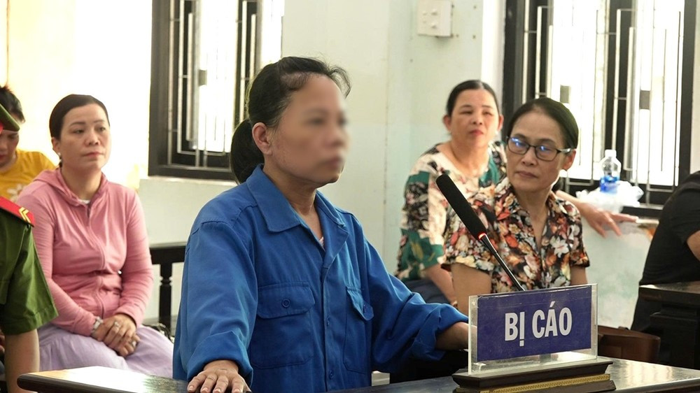 Nguyên cán bộ Hội Liên hiệp phụ nữ Trần Thị Lệ Hoa chính thức bị tuyên phạt 10 năm tù - ảnh 1
