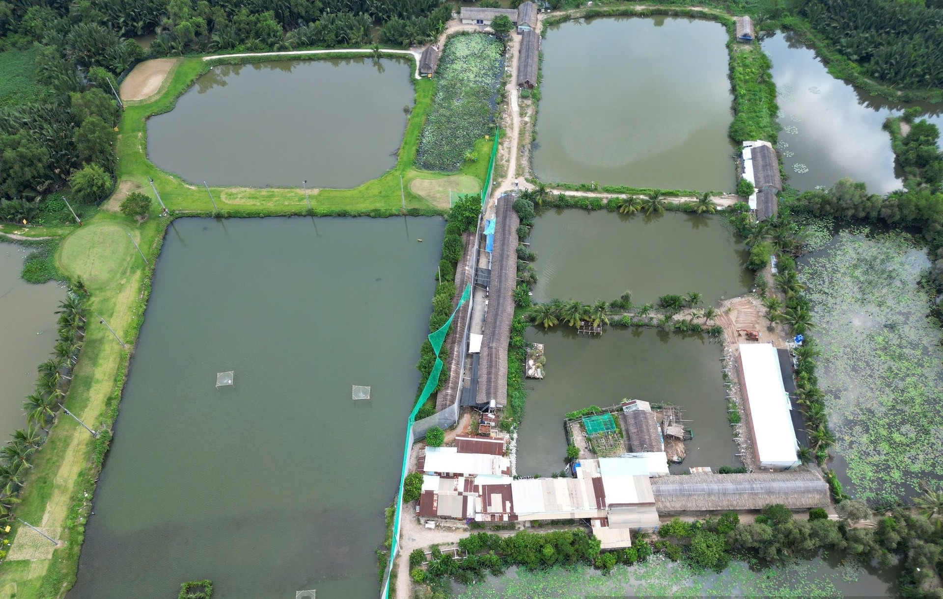 Khu thể thao quốc gia lớn nhất TP. HCM: Từng kỳ vọng đạt chuẩn Olympic với sân vận động 50.000 chỗ, sau 30 năm vẫn là bãi đất hoang- Ảnh 3. Khu thể thao quốc gia lớn nhất TP. HCM: Từng kỳ vọng đạt chuẩn Olympic với sân vận động 50.000 chỗ, sau 30 năm vẫn là bãi đất hoang- Ảnh 3.