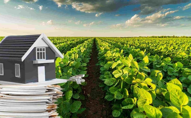 Từ bây giờ, làm thế nào để chuyển đất nông nghiệp sang đất thổ cư?- Ảnh 1.