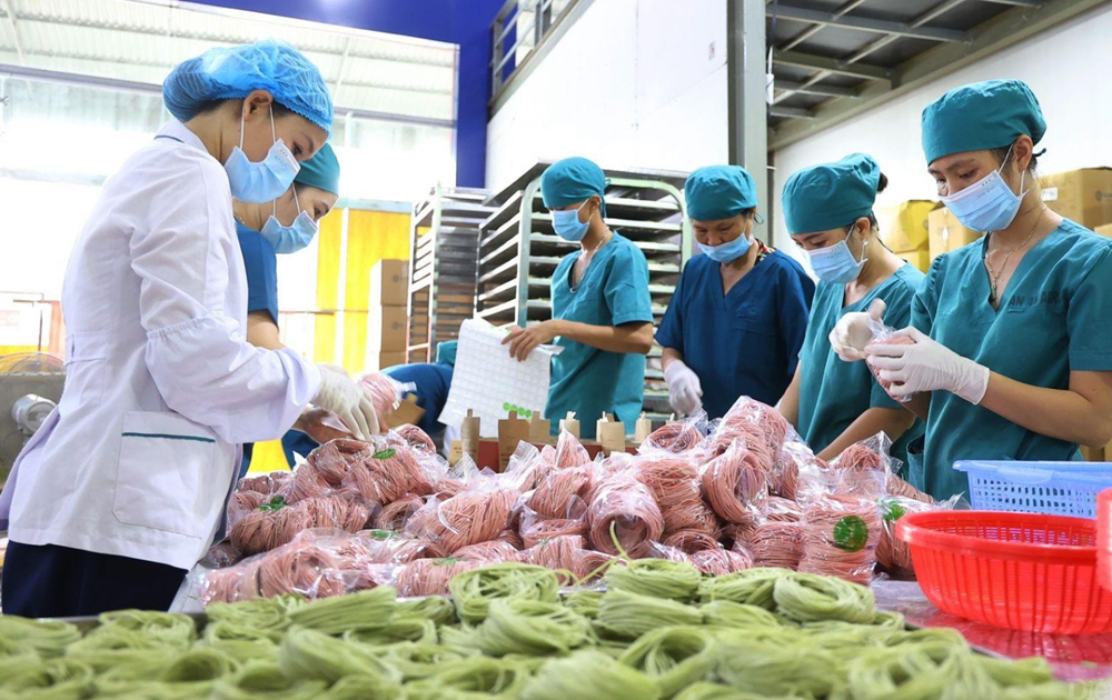 Chính phủ ra công điện, yêu cầu các Bộ trưởng các Bộ, Chủ tịch UBND tỉnh, thành phố khẩn trương triển khai nhiệm vụ quan trọng - ảnh 4