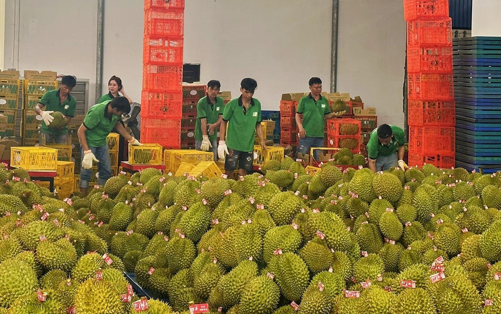 Chính phủ ra công điện, yêu cầu các Bộ trưởng các Bộ, Chủ tịch UBND tỉnh, thành phố khẩn trương triển khai nhiệm vụ quan trọng - ảnh 3