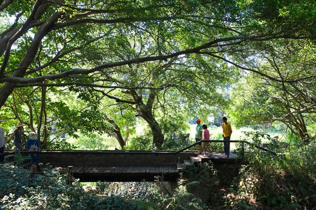 Ngôi làng 8.000m2 với 24 căn biệt thự: 10 năm qua chưa từng có trộm cắp, là không gian sống của người giàu có, học thức cao- Ảnh 4.