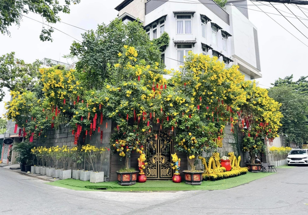 Toàn cảnh căn nhà của ca sĩ Đàm Vĩnh Hưng. Nguồn ảnh: Vietnamnet