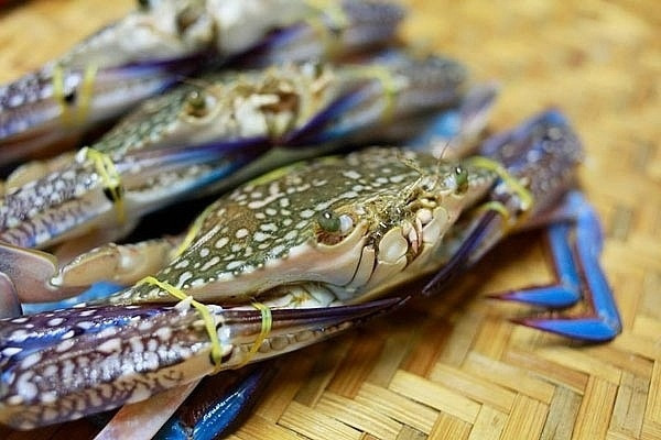 Một mặt hàng Việt xuất khẩu thành công khắp các thị trường, trừ Mỹ