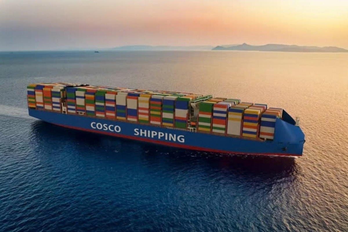 Tập đoàn hàng hải lớn nhất Trung Quốc làm việc cùng VIMC để mở rộng hợp tác sáng kiến 'Vành đai - Con đường'