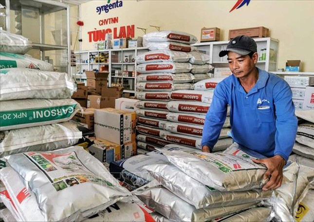 Đại phẫu 'vua' trái cây tỷ USD - Bài 1: Vì sao Cục Bảo vệ thực vật phớt lờ cảnh báo? ảnh 2