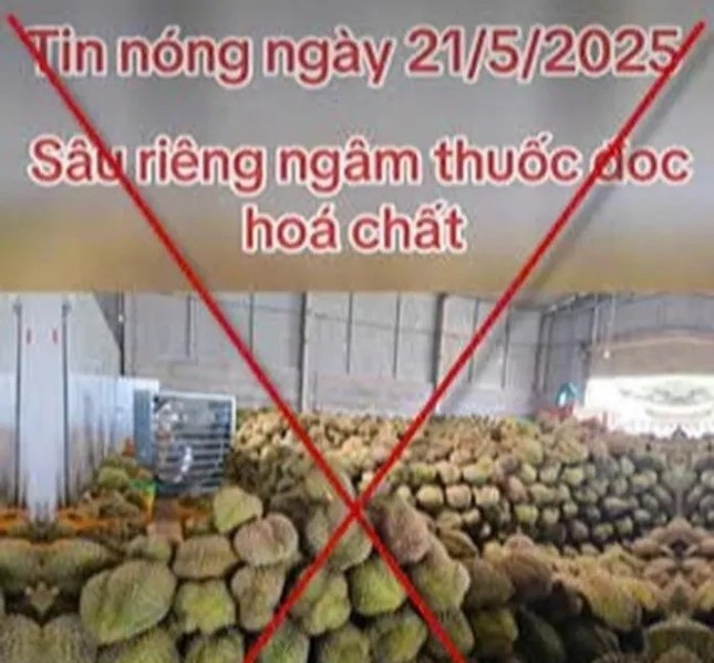 Tin giả gây hại cho thị trường sầu riêng ảnh 1