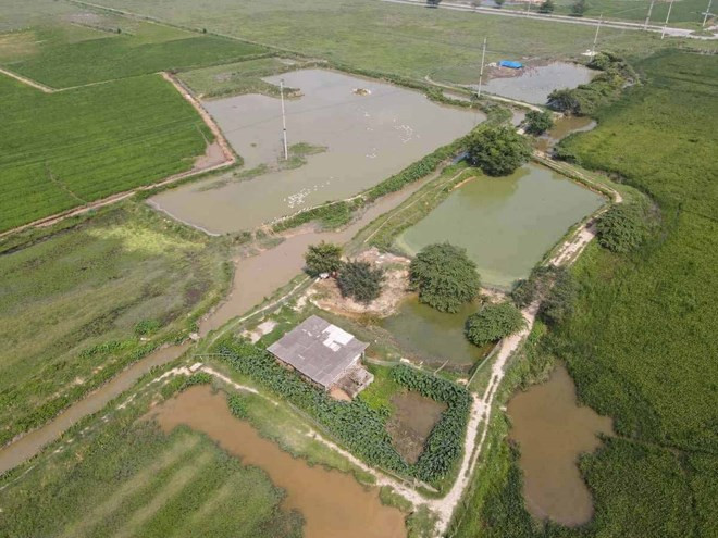 Hai dự án tại thủ phủ công nghiệp miền Bắc sắp hoạt động trở lại sau 20 năm hoang phế- Ảnh 1. Hai dự án tại thủ phủ công nghiệp miền Bắc sắp hoạt động trở lại sau 20 năm hoang phế- Ảnh 1.