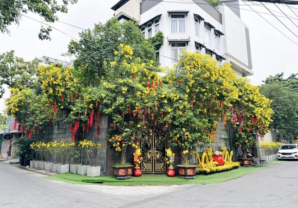 Đàm Vĩnh Hưng bất ngờ thừa nhận cần tiền, rao bán biệt thự triệu đô ở 'khu đất vàng' - ảnh 1