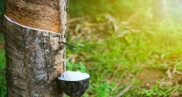 Thị trường tỷ dân nghiện thứ gì từ Việt Nam đến mức chiếm 99,8% lượng mua?