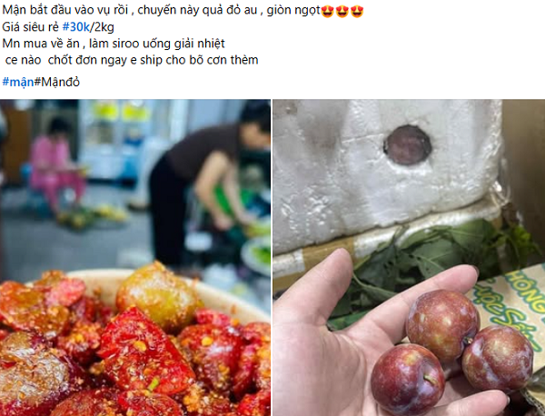 Đặc sản Tây Bắc vào mùa: Bán đầy chợ Việt, giá chỉ hơn chục nghìn đồng/kg nhiều chị em 'săn đón'