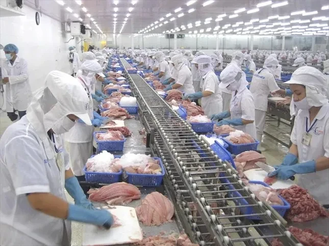 Việt Nam vừa thu 28 tỷ USD nông sản, khách nào 'sộp' nhất? ảnh 2