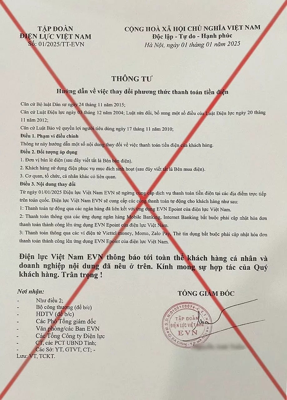 Tập đoàn Điện lực Việt Nam cảnh báo - ảnh 1