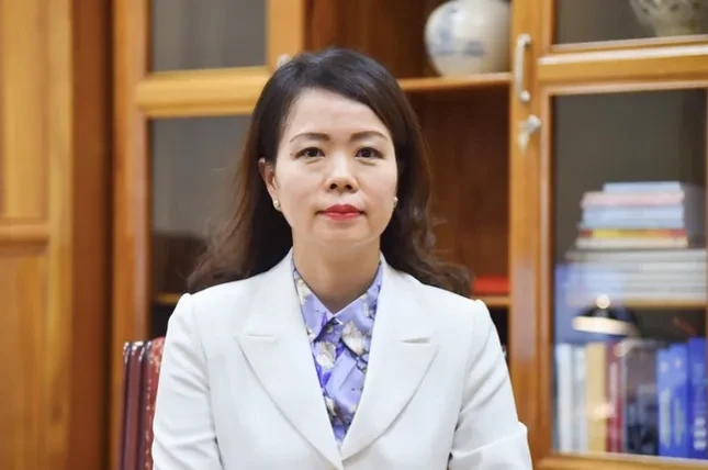 Việt Nam chuẩn bị cho khả năng trở thành thành viên OECD ảnh 2